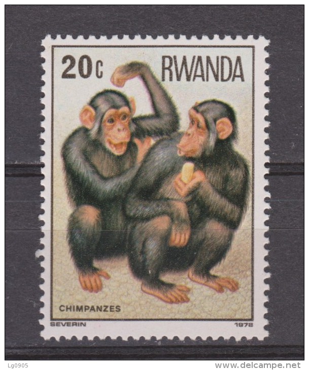 Rwanda MLH ; Chimpansee 1978 - Chimpanzees