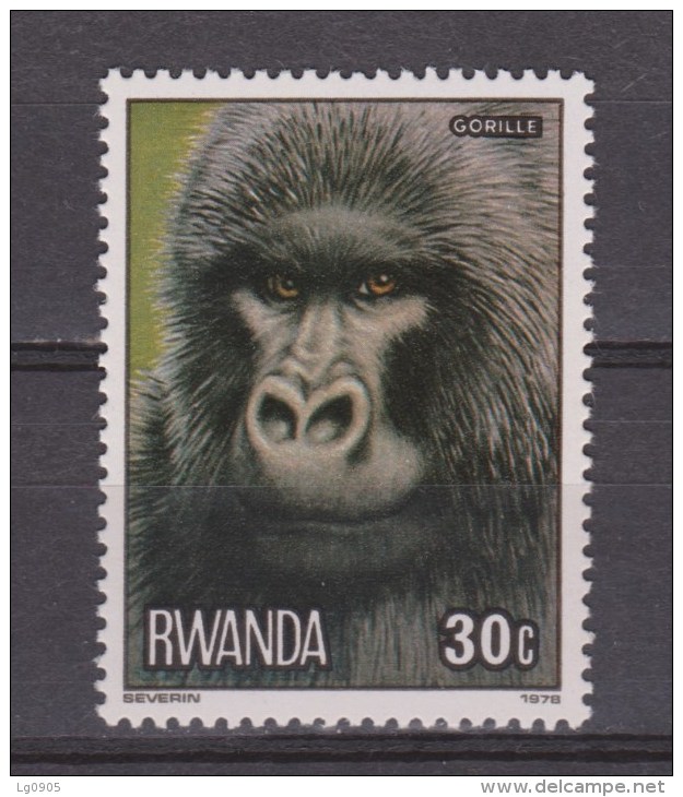 Rwanda MLH ; Gorilla 1978 - Gorilles