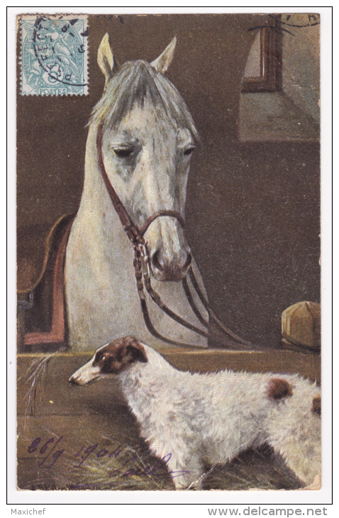 Carte Illustrée Par A Müller, München - Box Cheval En Compagnie D'un Chien "Setter Anglais" - Circulé 1904, UPU - Mueller, August - Munich