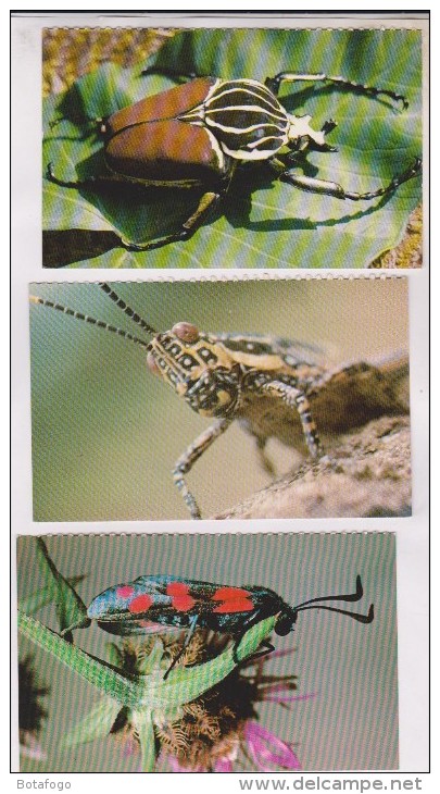 3 CPM D INSECTES, GOLIATH, CRIKET Et SPHINK BELIER - Insects