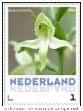 Nederland  2013-9  Ucollect Orchidee Bergnachtorchis  Postfris/mnh/neuf - Neufs