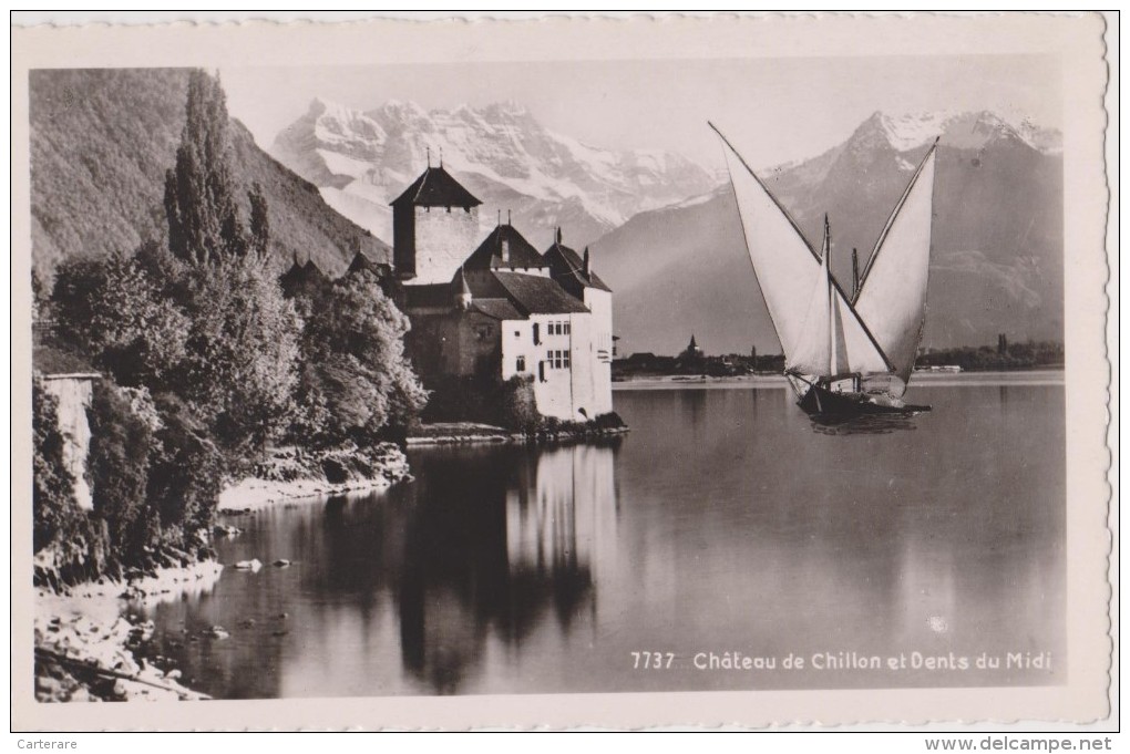 Carte Photo,SUISSE,SVIZZERA,SCHWEIZ,HELVETIA,SWISS ,VAUD,MONTREUX,TERRITET, Riviera Paysd´enhaut,chateau Chillon - Montreux