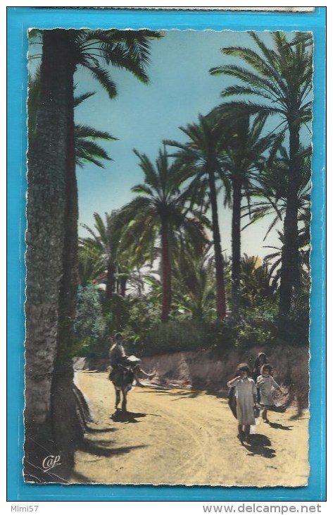 C.P.A. Dans L' Oasis En Ane - Envoyée De Fort Trusquel En Mauritanie En 1957 - Mauritanie