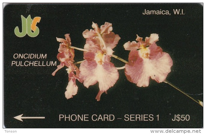 Jamaica, JAM-1D, Papilio Homerus, Orchid, 2 Scans.   1JAMD  W - Jamaïque