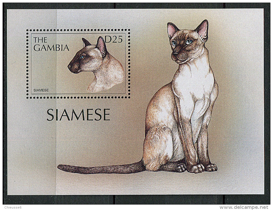 (cl 26 - P23) Gambie ** Bloc N° 361-(ref. Michel Au Dos) Chats - Gambia (1965-...)