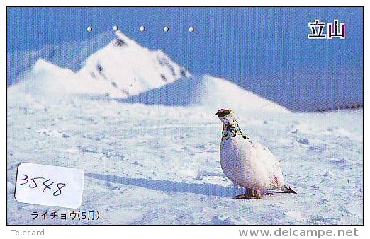 Telecarte Japon OISEAU (3548)   Phonecard Japan * BIRD * TELEFONKARTE VOGEL - Galline & Gallinaceo