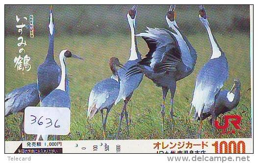 Telecarte Japon OISEAU (3636)  GRUE - Couple En Parade Sur HOKKAIDO * CRANE BIRD Japan Phonecard * KRANICH Vogel TK - Gallinaceans & Pheasants