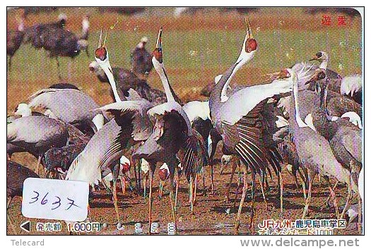 Telecarte Japon OISEAU (3637)  GRUE - Couple En Parade Sur HOKKAIDO * CRANE BIRD Japan Phonecard * KRANICH Vogel TK - Gallinaceans & Pheasants