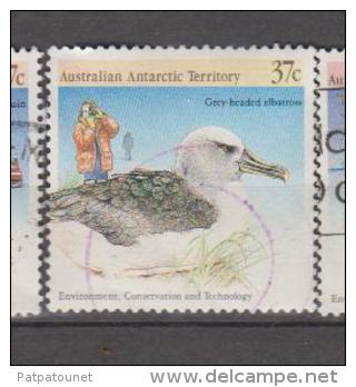 Australie (Antarctique) YV 81 O 1968 Albatros - Albatros