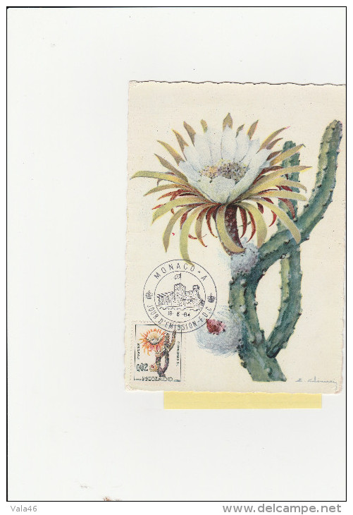 MONACO   CARTE MAXIMUM     THEME CACTUS    N°   537 B - Sukkulenten