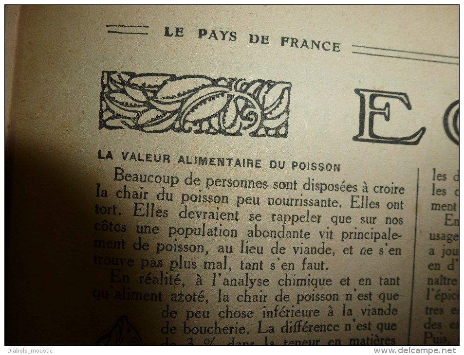 1918 LPDF:Les malgaches;Précision du tir longue portée;Canon 155 long;Mt-Renaud;Exécution Bolo;Crise lunaire;Recul vigne