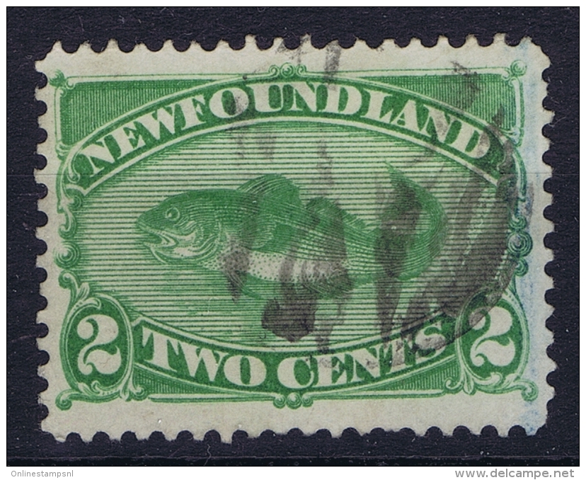 Canada: New Foundland 1880 Mi 32  Used - 1865-1902