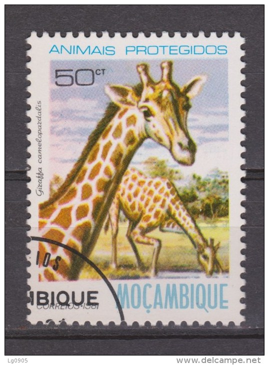 Mocambique, Mozambique Used ; Giraffe, Jirafa, - Girafes