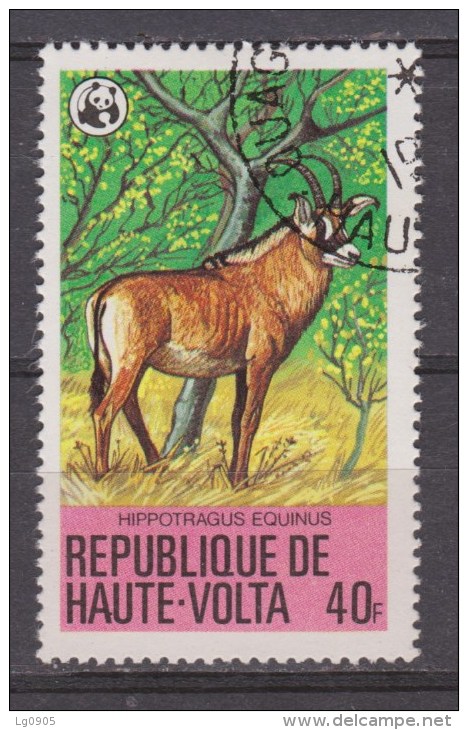 Haute Volta Used ; Antiloop, Antilope, Antelope Used , WWF, WNF - Oblitérés