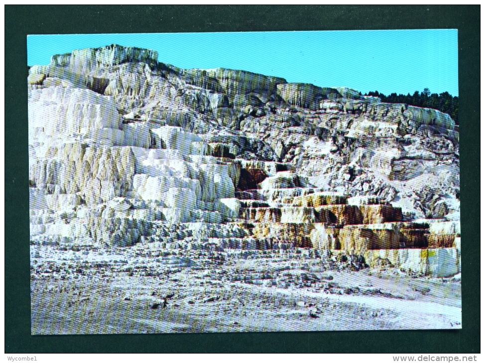 USA  -  Yellowstone National Park  Minerva Terrace  Unused Postcard As Scan - Yellowstone