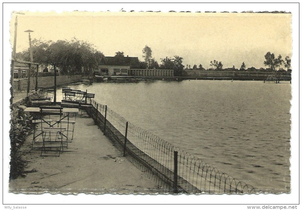 Carte Postale - LONDERZEEL - Het Meer - CPA  // - Londerzeel