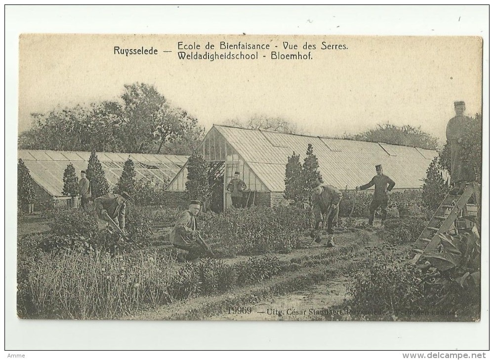 Ruiselede - Ruysselede   *  Ecole De Bienfaisance - Vue Des Serres - Weldadigheidschool - Bloemhof - Ruiselede