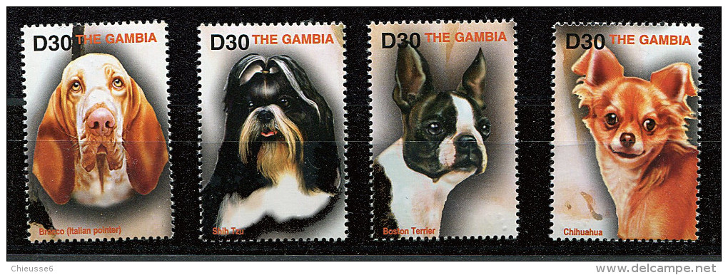 (cl 23 - 39) Gambie ** N°  4257 à 4260 -(ref. Michel Au Dos) Chiens - - Gambia (1965-...)