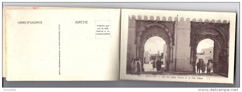 LOT Carnet De 20 Cp KAIROUAN Jardins  Palais Entrée Ville Sainte Mosquée Cour Chaire Galerie Bassin Pipe Marabout Lustre - Colecciones & Lotes