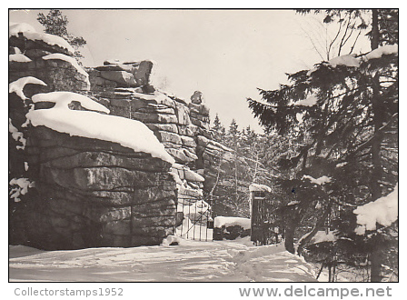 5457- EHRENFRIEDERSDORF- GREIFENSTEINE ROCK FORMATION, POSTCARD - Ehrenfriedersdorf