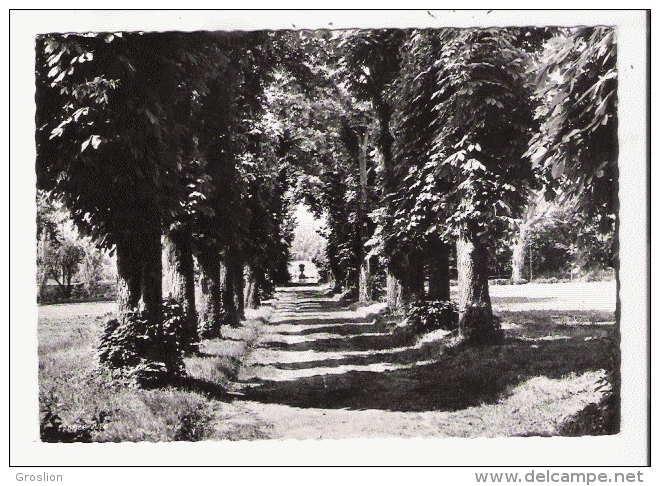 VALENTON (SEINE ET OISE )  2 CHATEAU DES CHARMILLES "LE MILLE PATTES" UNE ALLEE DU PARC - Valenton