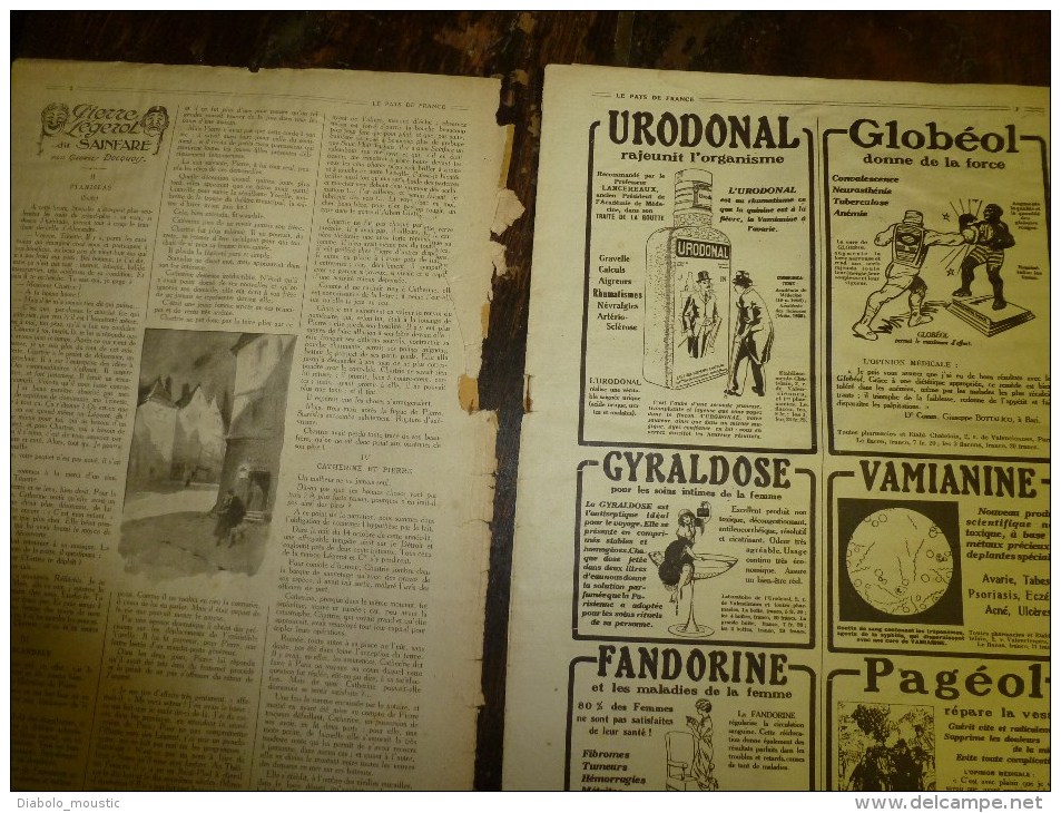 1919 LPDF:L'Allemagne Donne Son Or Pour Vivre;Foire PAIN D'EPICE Place Du Trône;ROUMANIE Par Les Poupées;Crime MAGYARE - Français