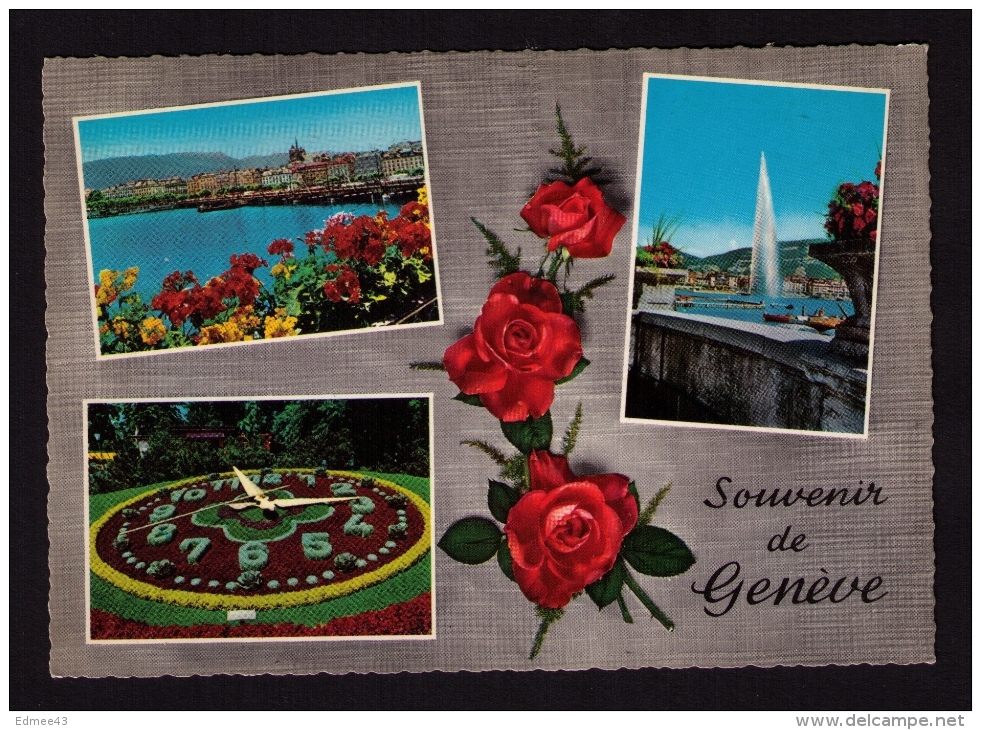 CPM Multi-vues, Genève (Suisse), Années 1950 - Exotic Garden