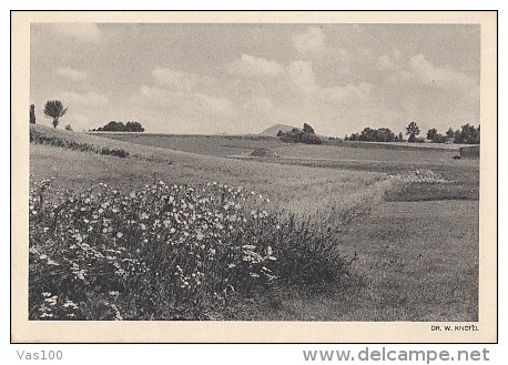 6003- ZITTAU- COUNTRYSIDE LANDSCAPE, PLAIN, POSTCARD - Zittau