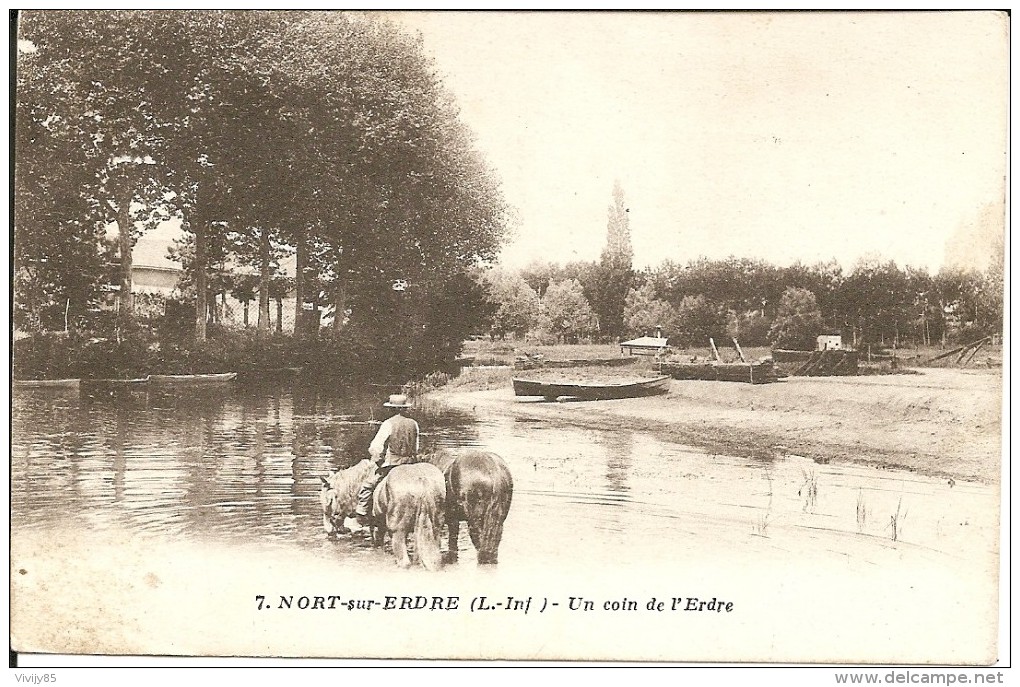 44 - NORT  SUR  ERDRE -  Un Coin De L'Erdre . ( Chevaux Dans L'eau Avec Cavalier  , Barques ) - Nort Sur Erdre