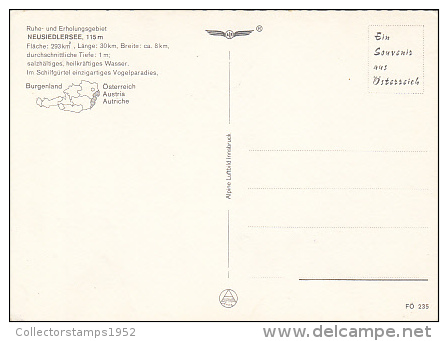 6458- POSTCARD, NEUSIEDL LAKE, BIRDS PARADISE, SWANS, DUCKS, BOATS - Other & Unclassified