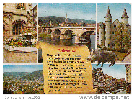 6915- POSTCARD, LOHR- FOUNTAIN, BRIDGE, CASTLE, WOOD FRAME HOUSES, CAR, WILD BOAR - Lohr