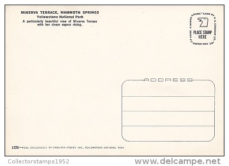 7312- POSTCARD, YELLOWSTONE NATIONAL PARK- MINERVA TERRACE, MAMMOTH SPRINGS - Yellowstone