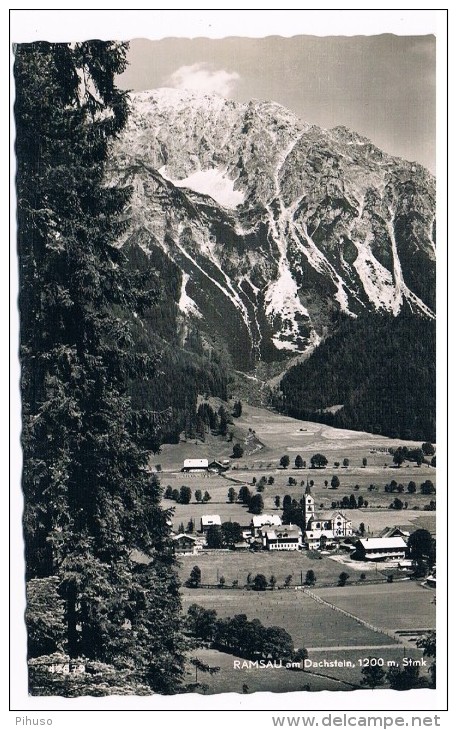 Ö-2339    RAMSAU : - Ramsau Am Dachstein