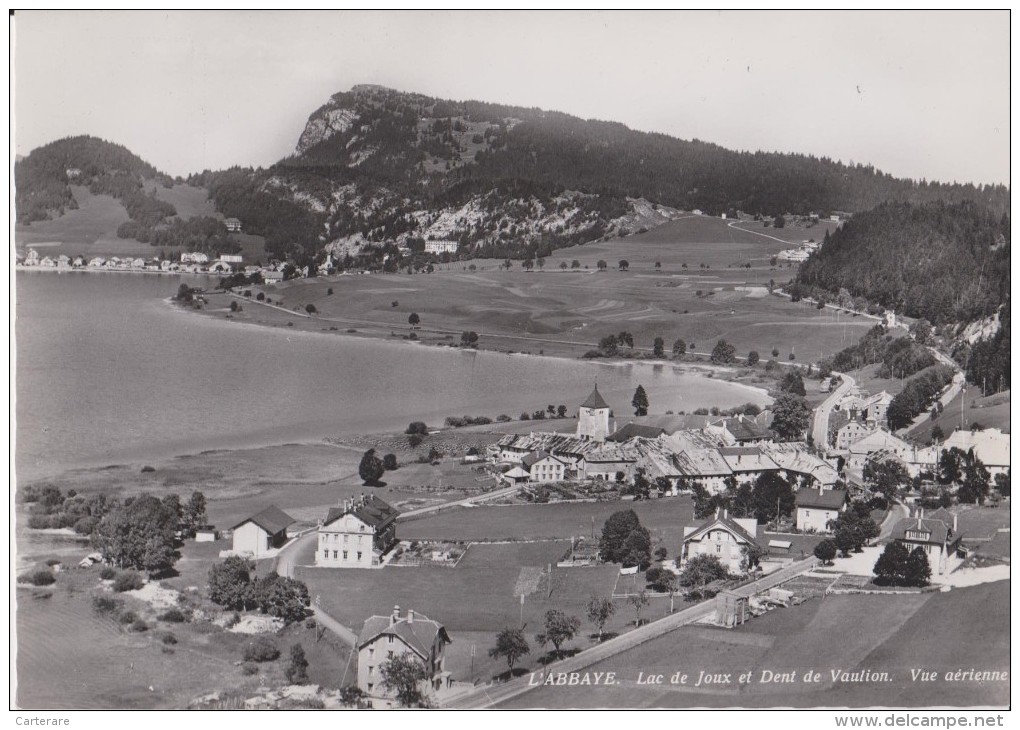 SUISSE,HELVETIA,SWISS,swi Tzerland,schweiz,SVIZZERA ,VAUD,LAC JOUX,BRENET,ORBE,ABBAYE,p Rofondeur 32 M,village,été - Orbe