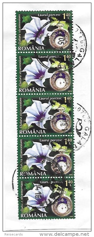 Rumänien:  Weisse Stechapfel - Datura Stramonium - Medicinal Plants
