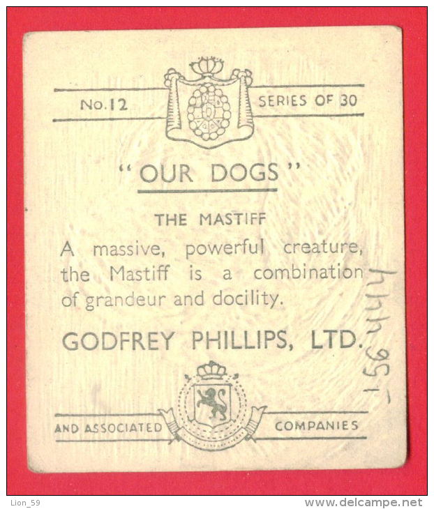 156444 / CIGARRETTE CARDS - Dog Chiens Hunde Cani Honden Perros , THE MASTIFF , GODFREY PHILLIPS , LTD 12 / 30 - Phillips / BDV