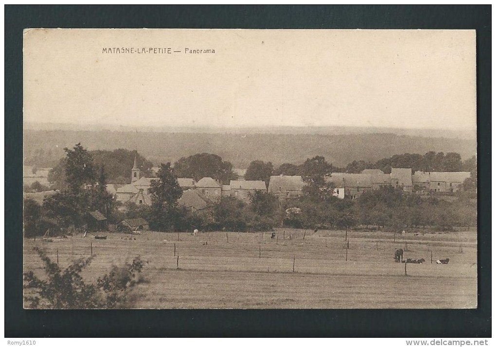 Matagne- La- Petite. Vue Générale, Panorama Du Village.  Phototypie Desaix. - Doische