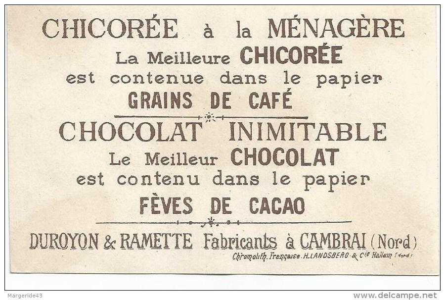 CHROMOS CHOCOLAT DUROYON ET RAMETTE - FLEURS. - Duroyon & Ramette