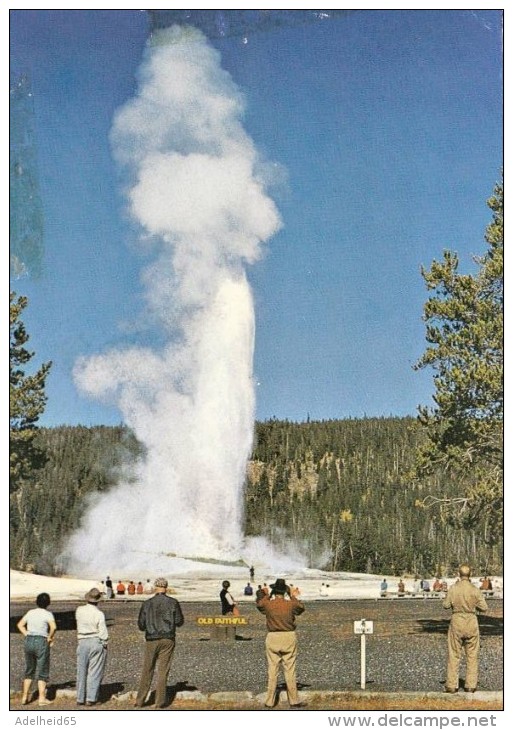 013Q/ Old Faithful Geyser Yellowstone - Yellowstone