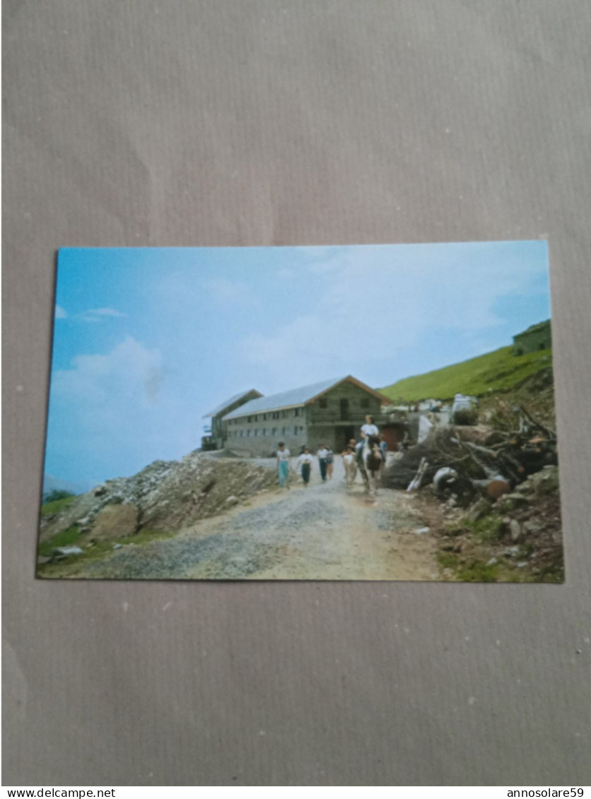 CARTOLINA: RIFUGIO AGRITURISMO SALVIN M. 1580 DI TOMASINO GIUSEPPE, CASE MUSSA 4 -  NON VIAGGIATA - F/G - COLORI - LEGGI - Rivoli