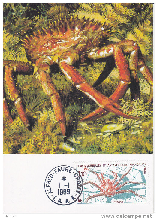 Animaux, Carte Maximum T A A F  Yvert 140, Crabe - Crustaceans