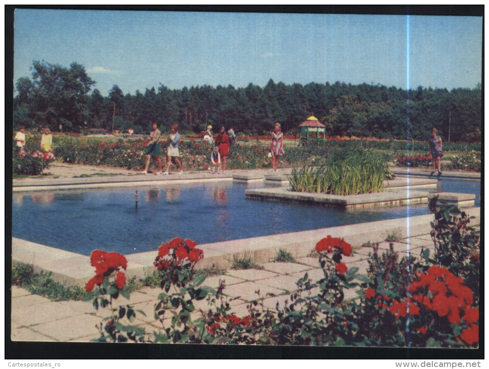 Minsk-in The Botanical Garden-unused,perfect Shape - Belarus