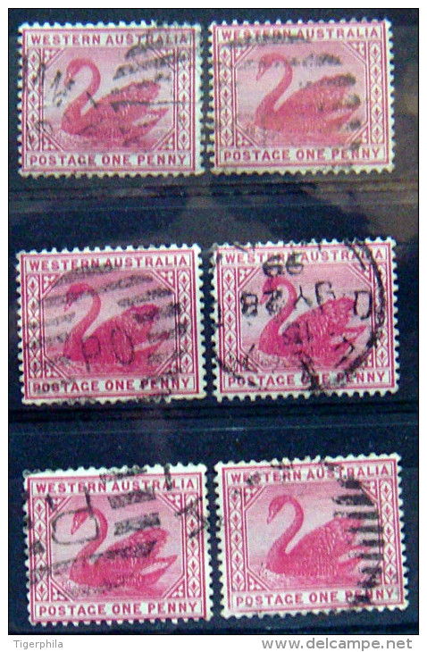 WESTERN AUSTRALIA 1899 1p Swan USED 6 Stamps Scott73 CV$9 Watermark : 83 - Oblitérés