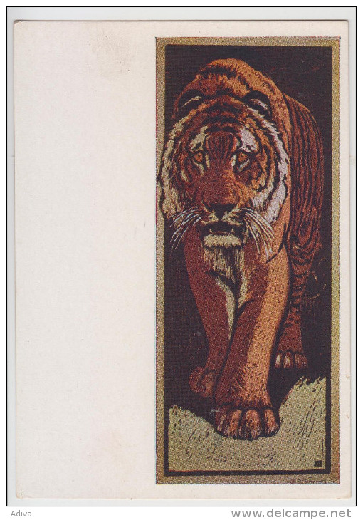 Tiger  In USSR Art   1958 - Tigres