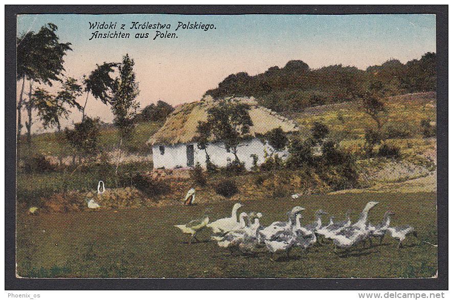 POLAND - Ethnics, Farmhouse And Geese, Bauernhaus Und Gänse, Year 1916 - Europa