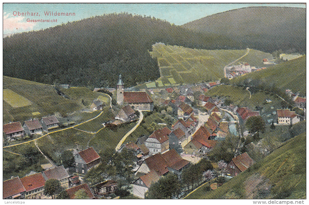 OBERHARZ - WILDEMANN / GESAMTANSICHT - Wildemann