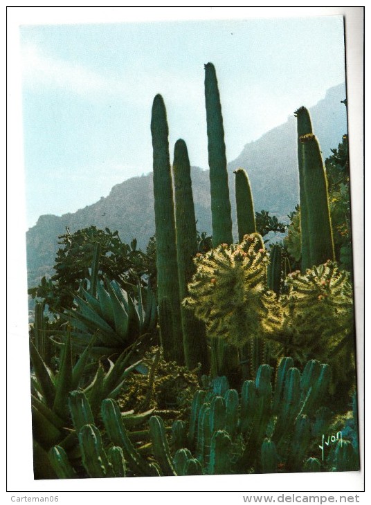 Monaco - Le Jardin Exotique - Editeur: Yvon N° 10990056 - Exotic Garden