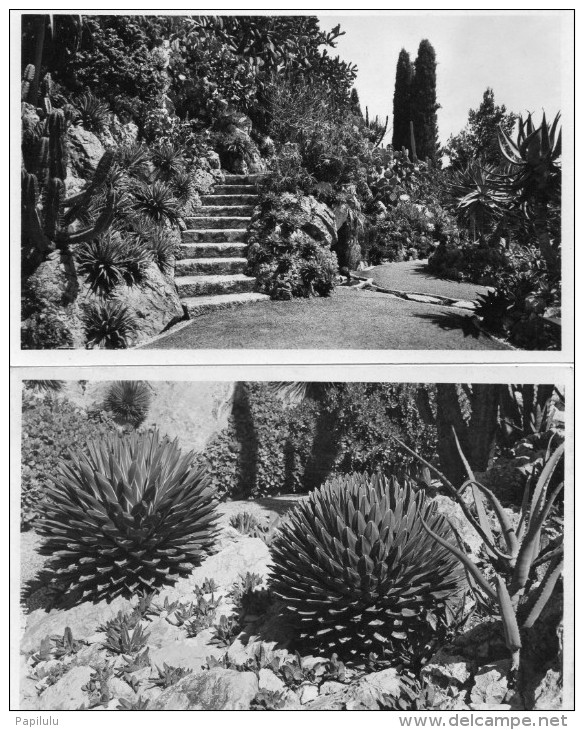 Monaco : Jardin Exotique , Lot De 3 Cpsm ( Dos  Scanés ) - Giardino Esotico