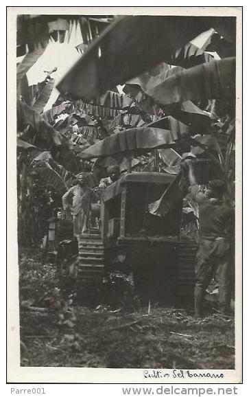 Equatorial Guinea 1920s Rio Muni Colonial Banano Banana Plantation Agriculture Tractor Agfa Viewcard - Equatorial Guinea