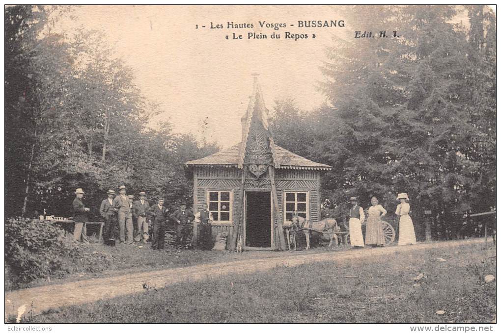 Bussang    88        Le Plein Du Repos  Châlet Forestier (petit Défault D'angle) - Bussang